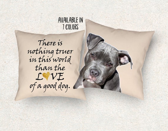 pillow pet bull