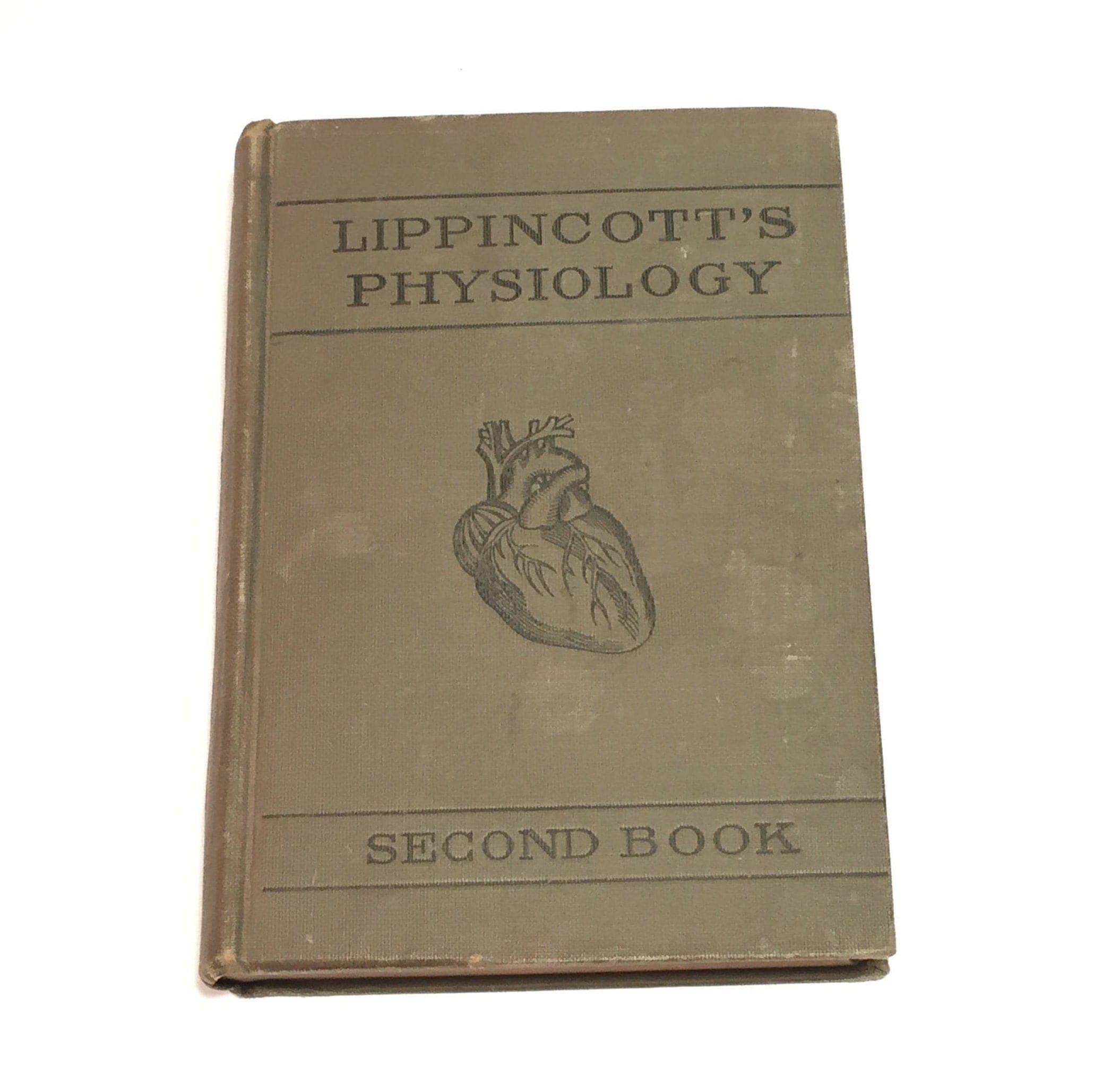 Lippincott