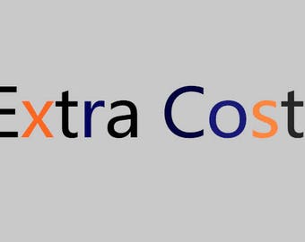 Extra Cost for Express Shipping for 2014esty