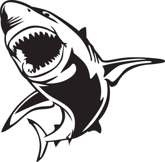Free Free 118 Cute Shark Svg Free SVG PNG EPS DXF File