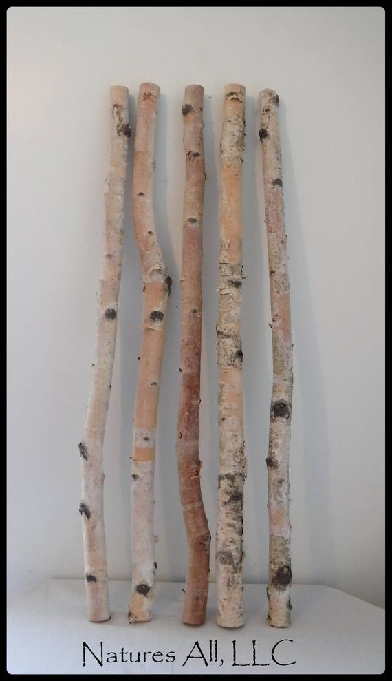 White Birch Sticks/Decorative White Birch/ 5 PC/3 Ft.