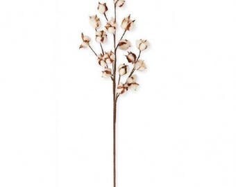 31 inch Cotton Stem