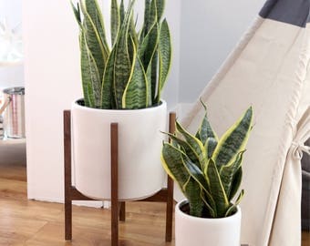 Large - Mid-century Modern Planter with Walnut or Oak Wood Planter Stand - 12" White Cylinder Pot