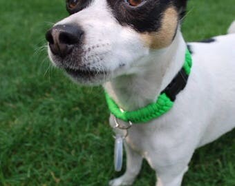Lime Green Fishtail Dog Collar, Has Ring For Tags