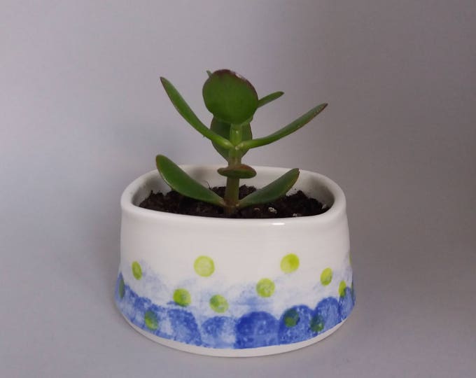 Planter, pottery planter, succulent planter, small plant pot, blue and lime green design, pottery plant pot, cactus plant pot, squared bowl