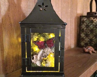 Butterfly lantern | Etsy