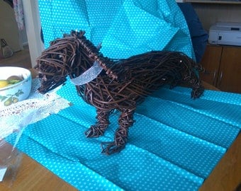 Daschund Dog