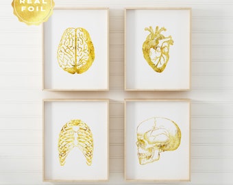 Anatomy Art Print Set - Best Seller - Medical Student Gift - Anatomy Decor - Real Gold Foil - Medical Art - Heart Anatomy - Skull Anatomy