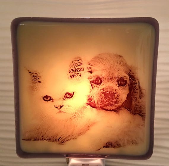 Cat and Dog Fused Glass Night Light