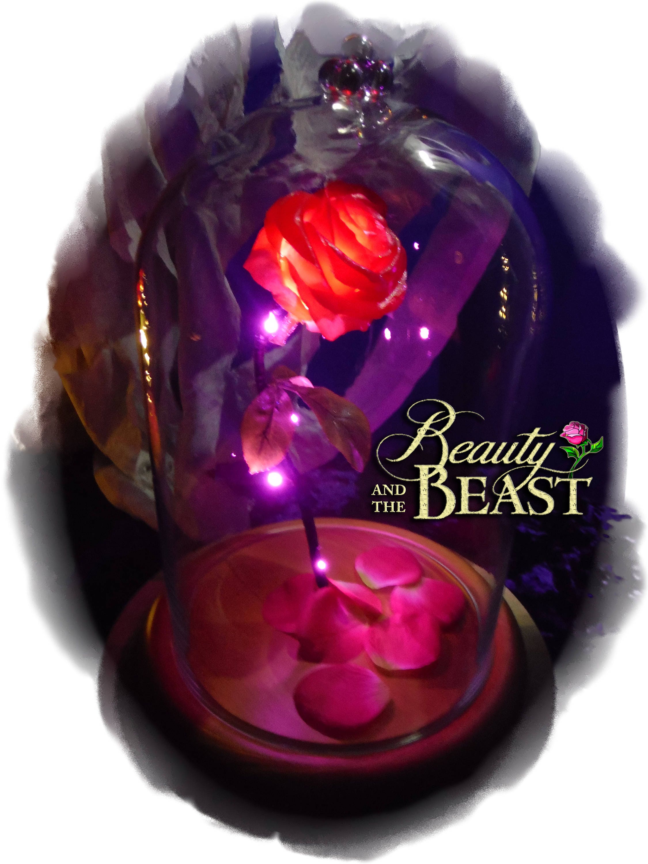 Enchanted Rose Beauty and the Beast Rose Beasts Rose Belles