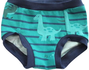 Dinosaur underwear | Etsy