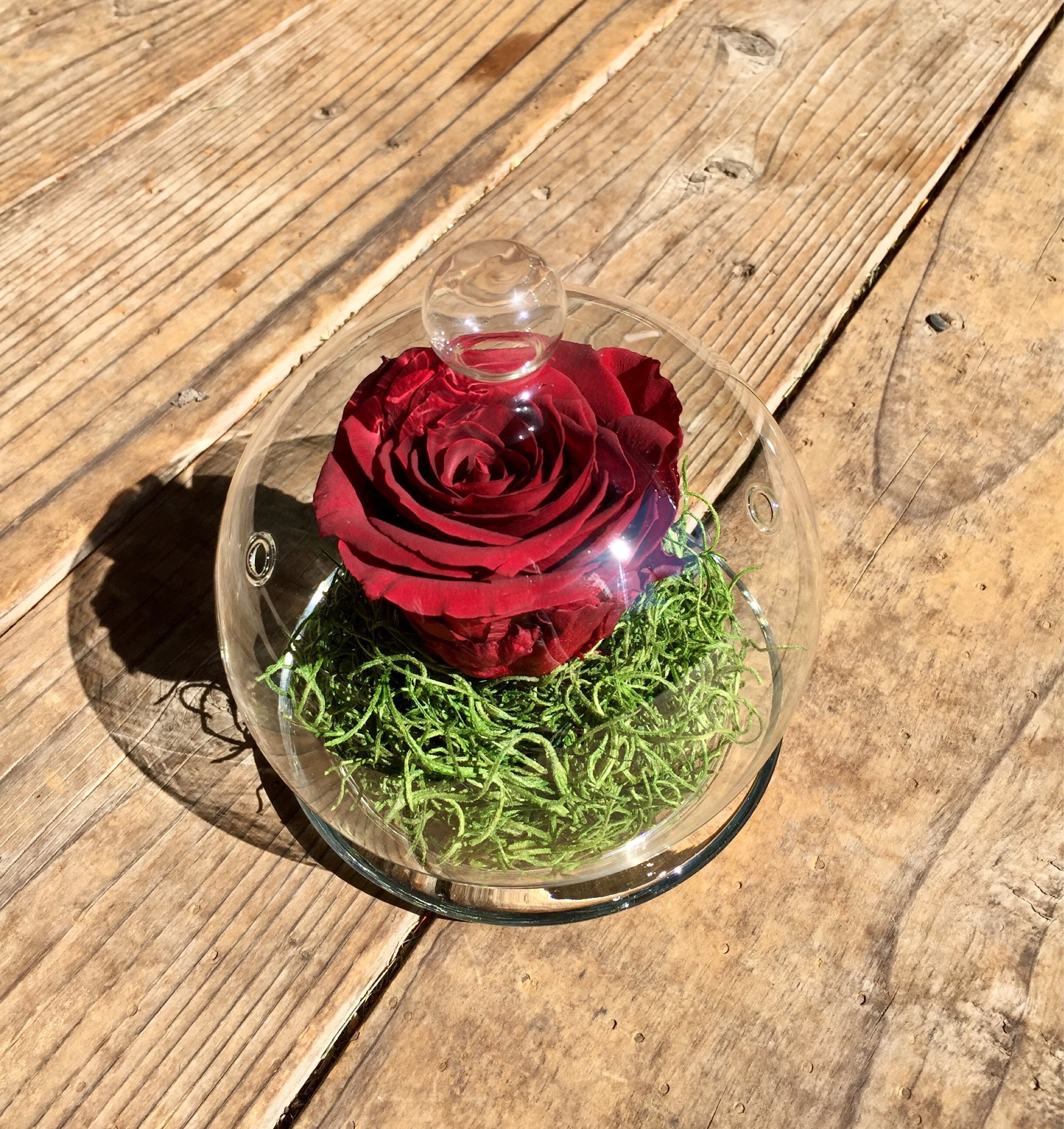 Forever Rose In Glass Dome