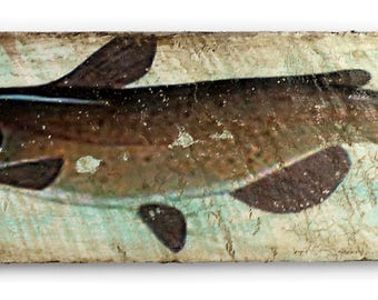 Fish on pallet wood