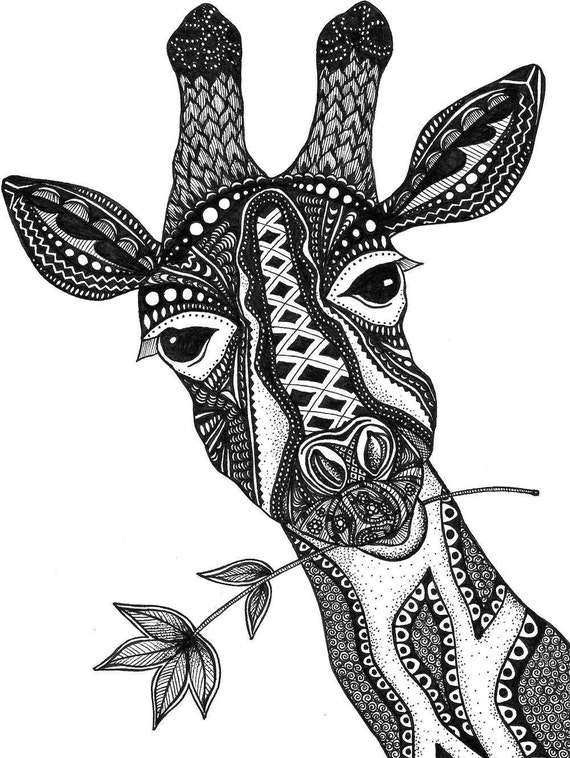 Download Giraffe Print Zentangle Giraffe Drawing Art Prints Black