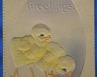Easter Greetings Yellow Chicks Embossed 1913 Antique Postcard