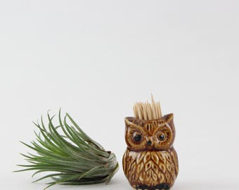 Vintage Ceramic Owl Toothpick Holder - Retro Kitchen Decor