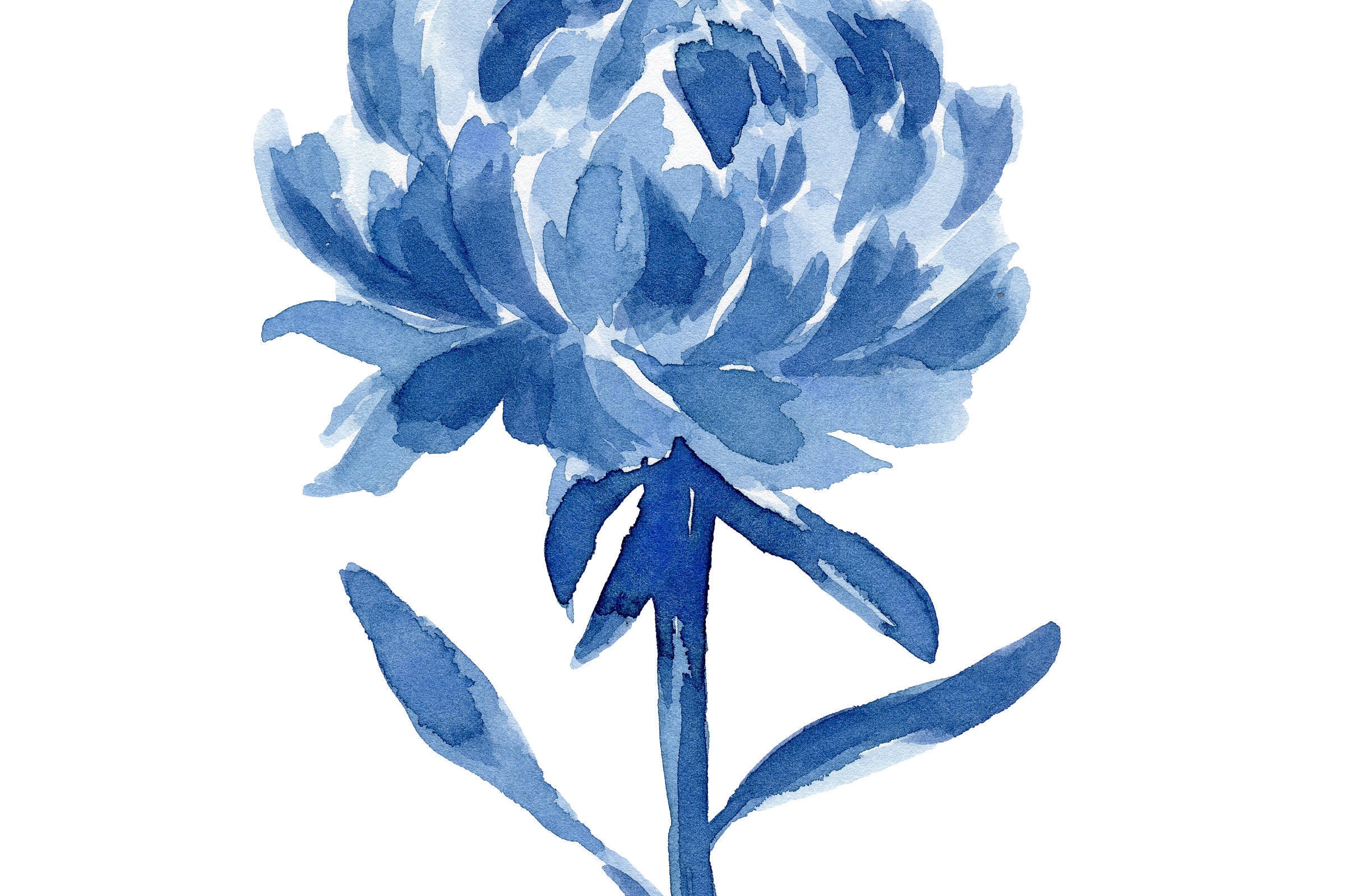  Blue  Peony Flowers  Set 4 Abstract  Peonies Watercolor 
