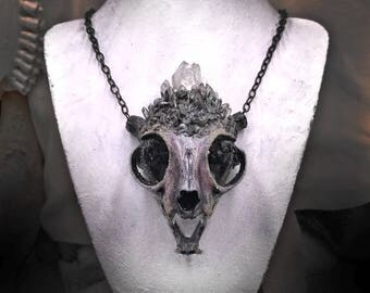 Cat Skull Necklace - Bone Jewelry - Bone Necklace - Skull Necklace - Taxidermy Jewelry - Gothic Jewelry - Halloween