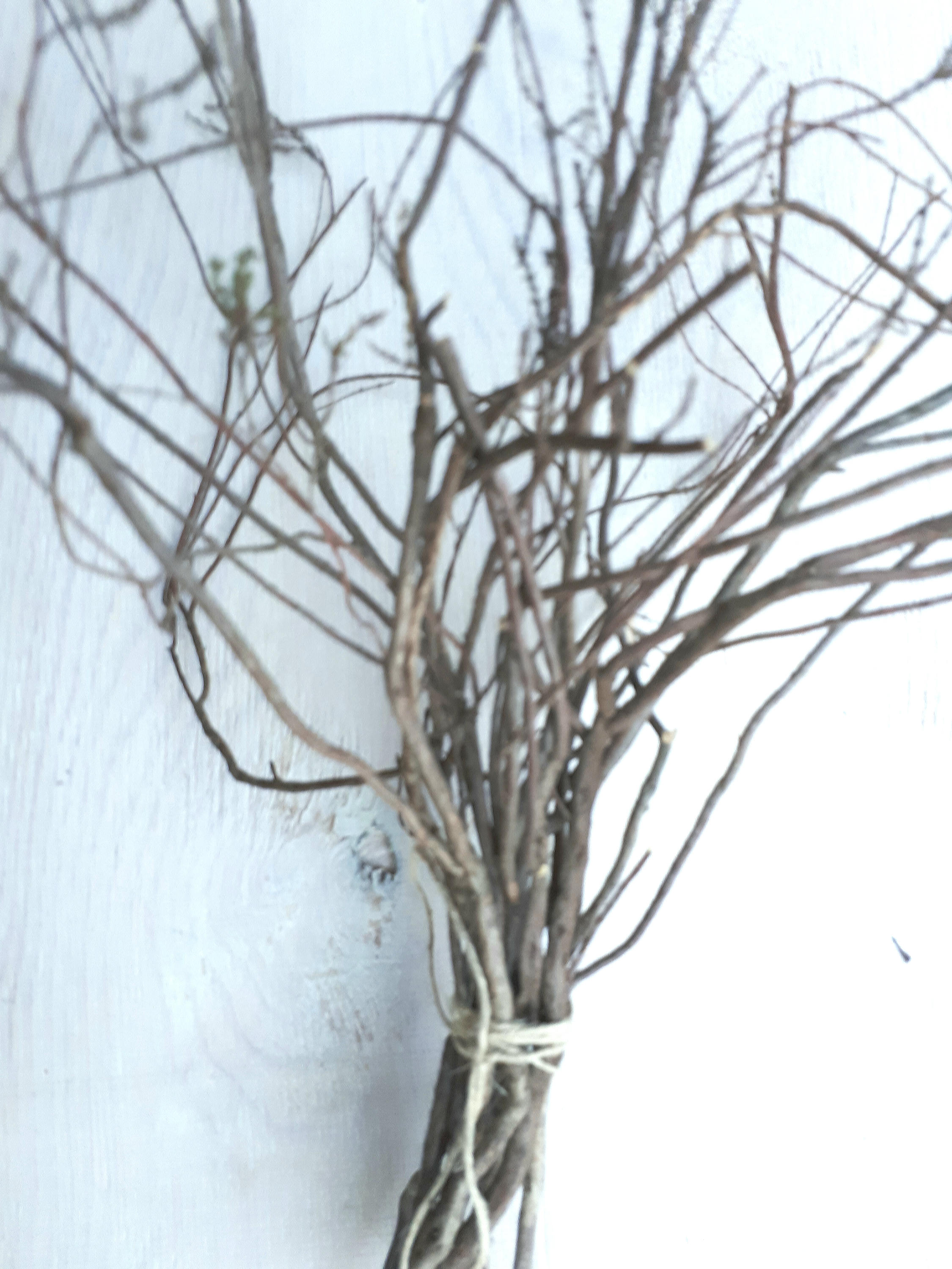 Natural dried heather twigs, rustic home decoration, vase filler, brown