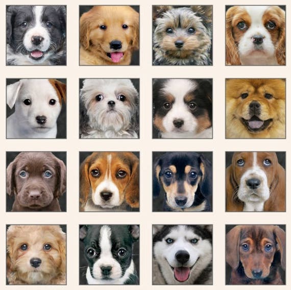 Adorable Pets Fabric / Dogs Fabric / Elizabeth's Studio