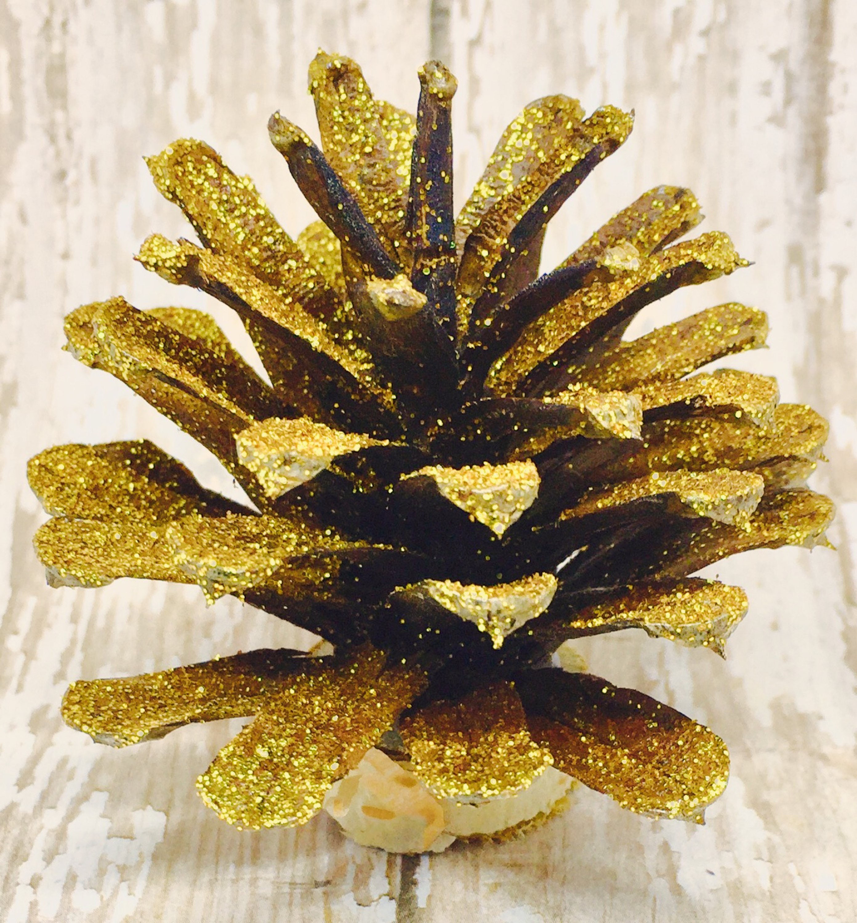 Place Card Holder Gold Pinecone Place Card Holders Escort
