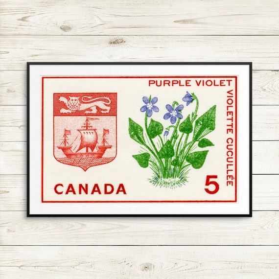 new brunswick provincial flower moncton new brunswick new