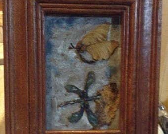Ephemeral and dragonfly in flight in search of food