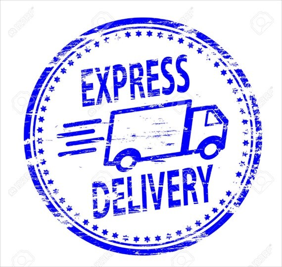 Ems express shipping