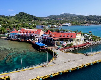 Roatan Island Starfish Morning Sunrise Central American