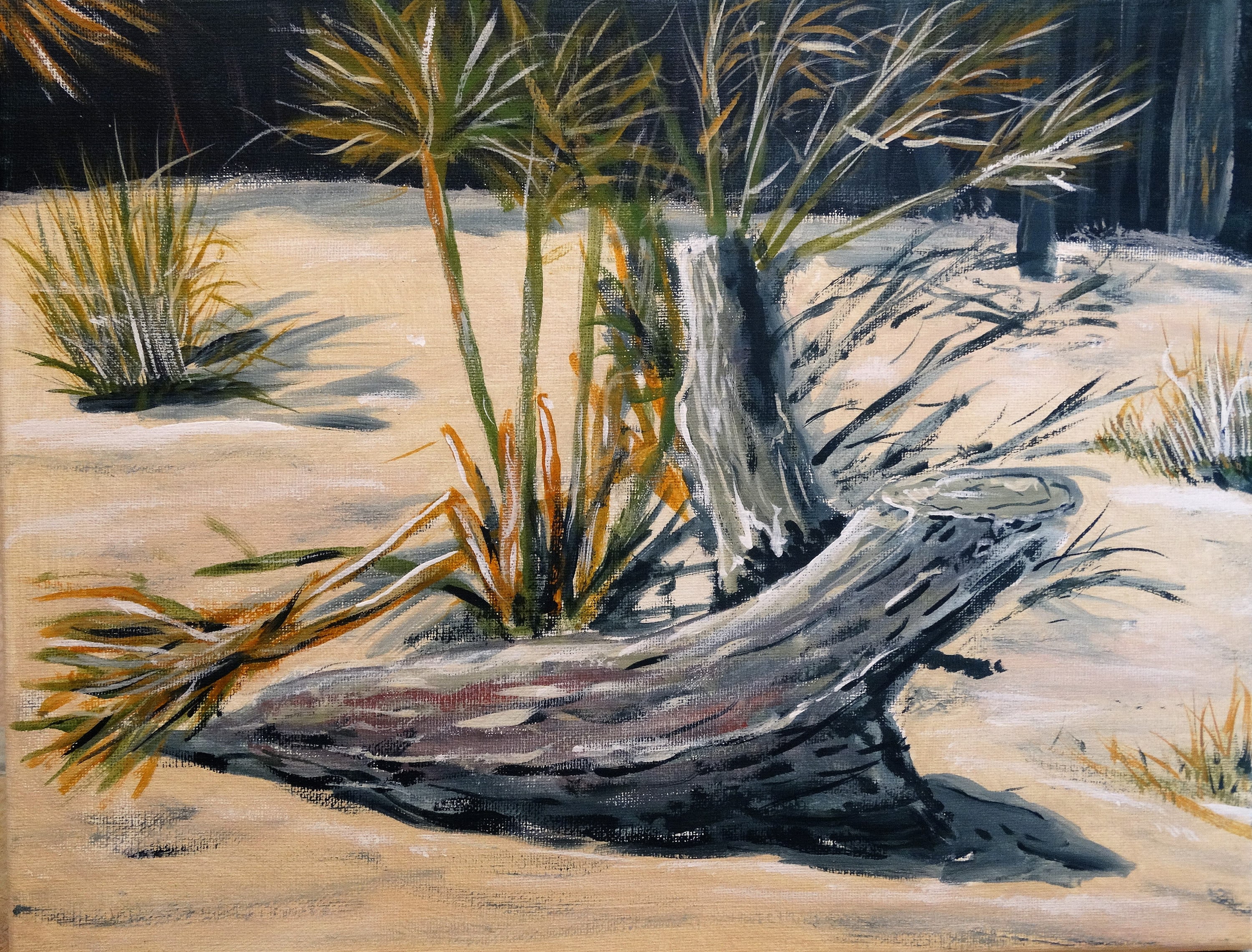 Driftwood on the Beach original acrylic painting Beach
