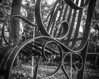 Black and white wrought iron chair photography