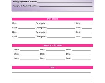 Pet Information Form Printable Worksheet