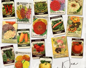 Vintage Seed Packs digital scrapbooking graphics kit / ephemera / clipart / altered art / mixed media collage / instant download / printable