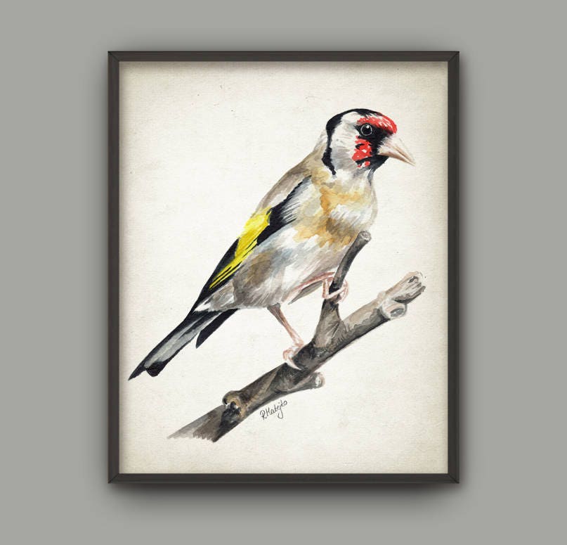 Goldfinch Watercolor Wall Art Poster Goldfinch Art Print