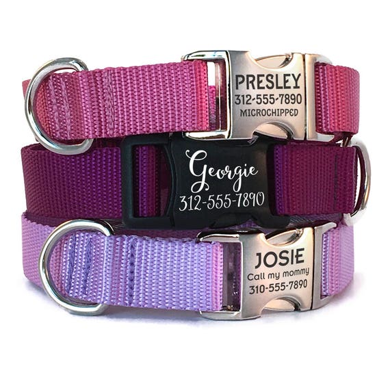Personalized Dog Collar with Engraved Buckle Nylon bing