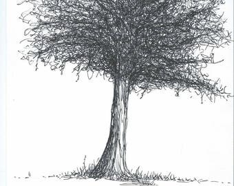 Tree in black marker