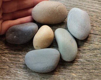 Natural sea stones bulk terrarium decoration medium pebbles Beach pebbles Sea pebbles Beach stones home decoration aquarium decoration