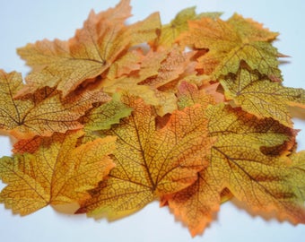 autumn colors leaves