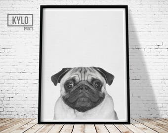 Pug Print, Animal Print, Nursery Wall Art, Pug Photo, Pug Art, Instant Download, Pug Gift, Funny Animal Print, Nursery Animals, Funny Print