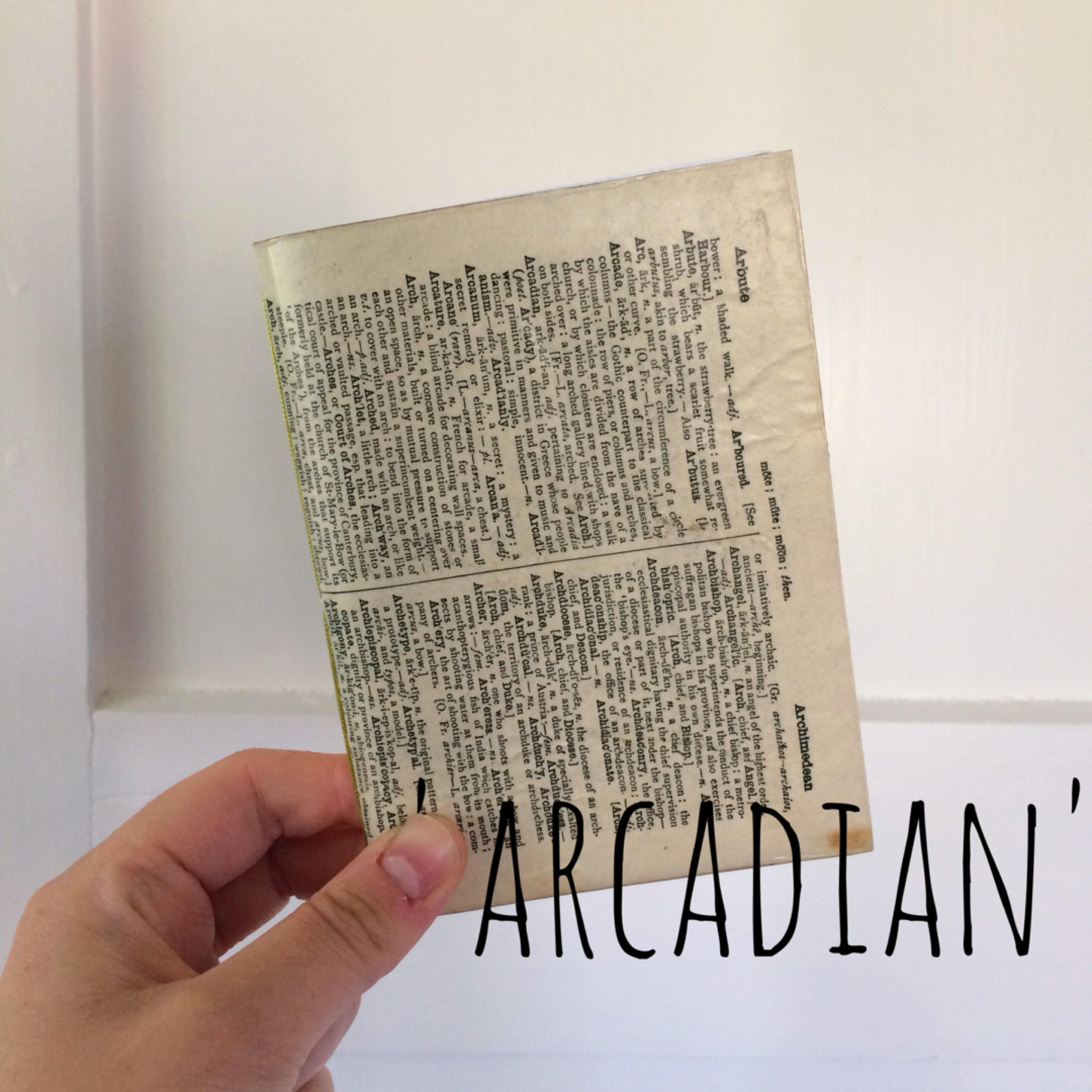 A Vintage Dictionary Notebook Mixed Page Notebook