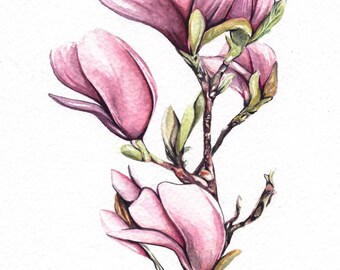 Original Blossom Watercolour Painting, Magnolia Blossom Floral Watercolor Painting, Original Art