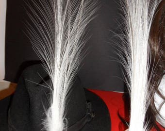 long feather "aigrette" 40-50cms (approx), natural, elegant, rare.