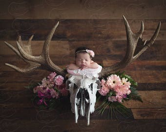 Newborn Digital Backdrop Moose Skull Fresh Flowers Rustic Organic