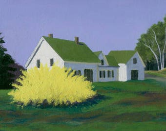 Forsythia