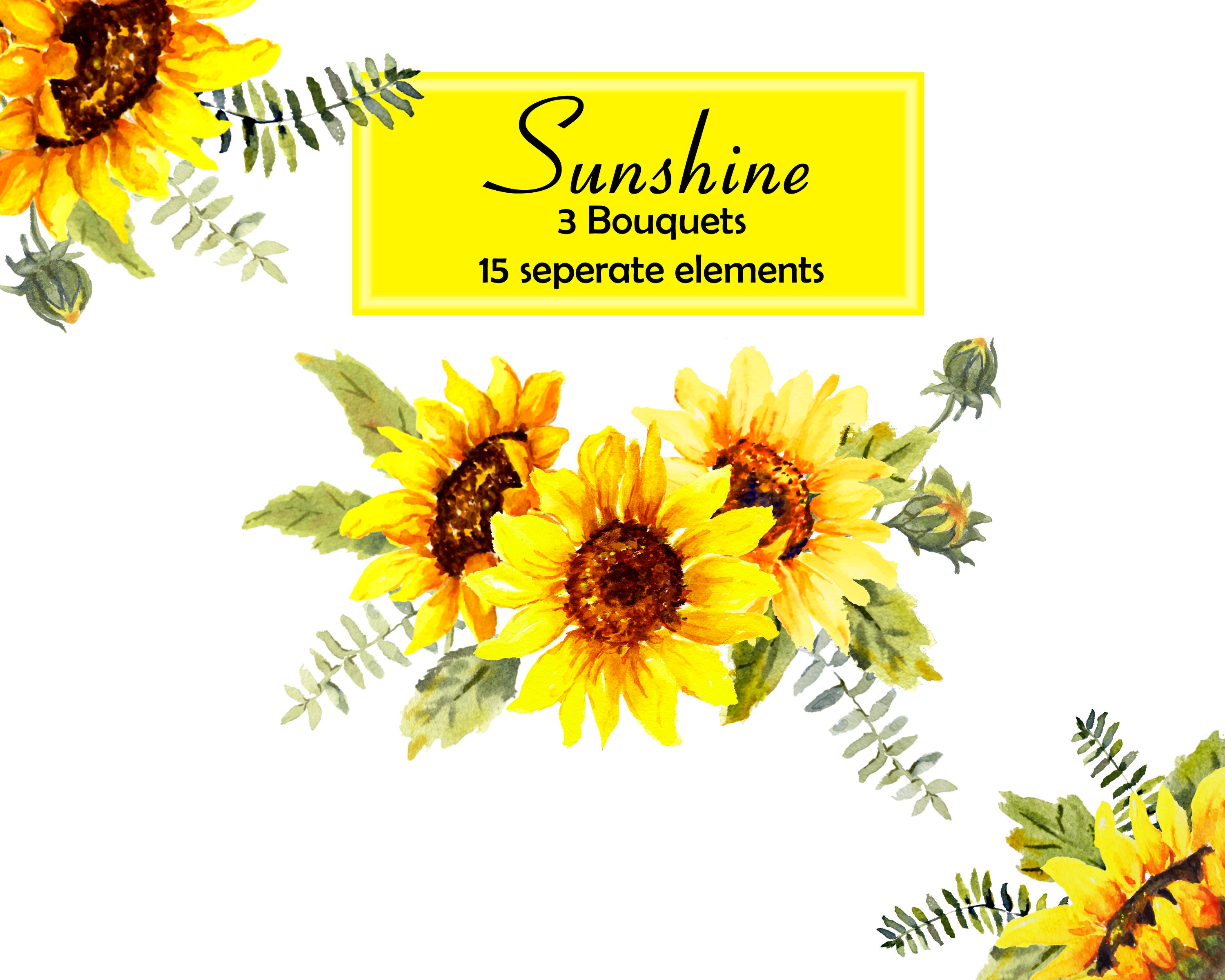 Download Sunshine and Sunflowers, Watercolor Sunflowers Floral Clip Art, Wedding Clip Art PNG Files ...