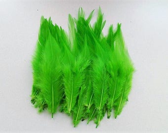 set of 10 feathers green 10-15cm