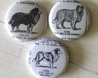 Collie Vintage Dictionary Illustration Magnet Set of 3