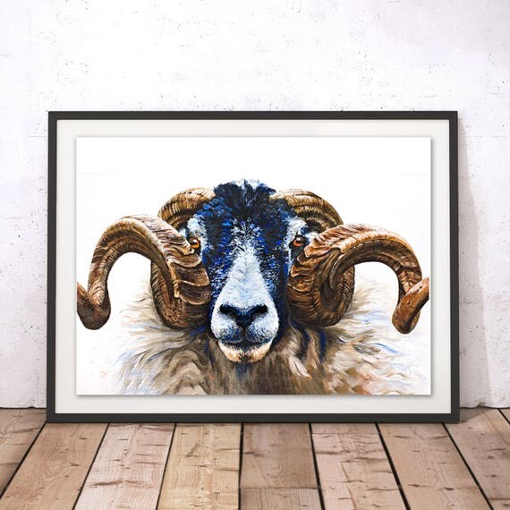 Swaledale Ram Print Ram Wall Art Sheep Painting Ram Wall