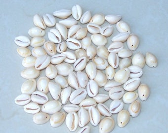 Small Natural Sea Shell - Cowrie Shell - Money Shell - Shell Bead - Seashell - 12mmx 18mm - 40 Shells