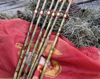 Archery arrows, carbon arrows, National Defense medal, set of 6